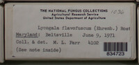 Image Associated With the Occurence
